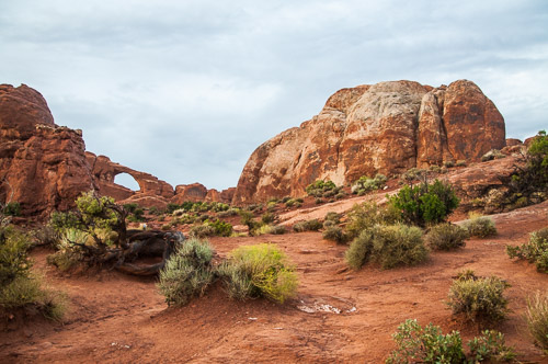 DSC_8741.jpg DSC_8741.jpg