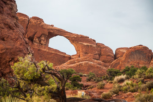 DSC_8742.jpg DSC_8742.jpg