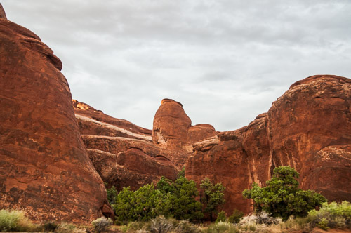 DSC_8751.jpg DSC_8751.jpg