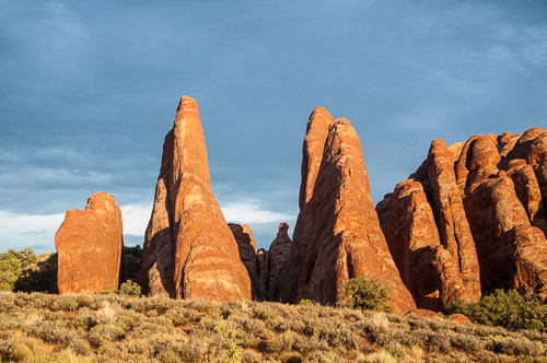 DSC_8767.jpg DSC_8767.jpg