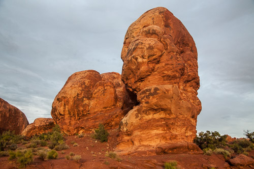 DSC_8771.jpg DSC_8771.jpg