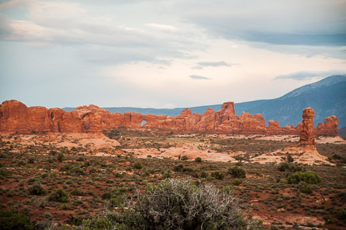 DSC_8782.jpg DSC_8782.jpg