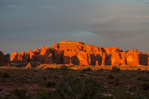 DSC_8801.jpg DSC_8801.jpg