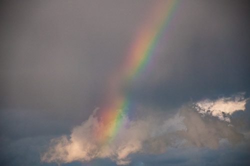 DSC_9087.jpg DSC_9087.jpg