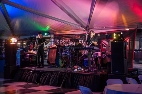 DSC_9113.jpg DSC_9113.jpg