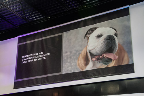 DSC_9132.jpg DSC_9132.jpg