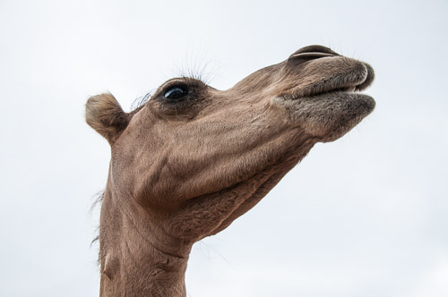 DSC_9687.jpg DSC_9687.jpg