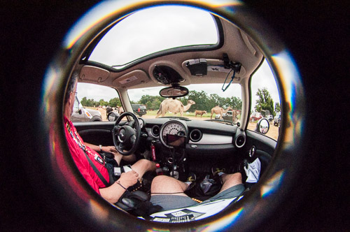 DSC_9688.jpg DSC_9688.jpg