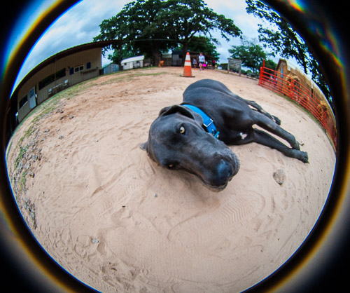 DSC_9694.jpg DSC_9694.jpg