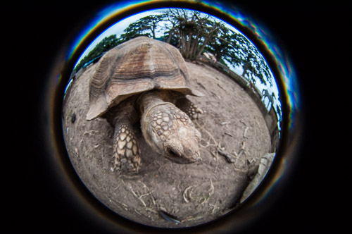 DSC_9697.jpg DSC_9697.jpg