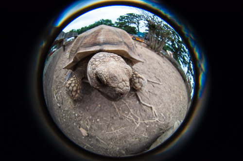 DSC_9698.jpg DSC_9698.jpg