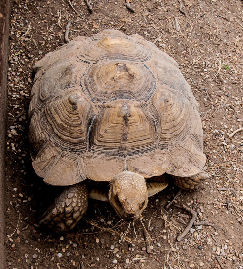 DSC_9700.jpg DSC_9700.jpg