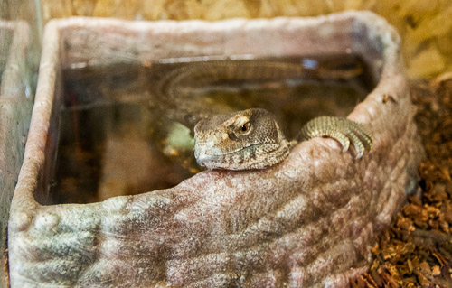 DSC_9705.jpg DSC_9705.jpg