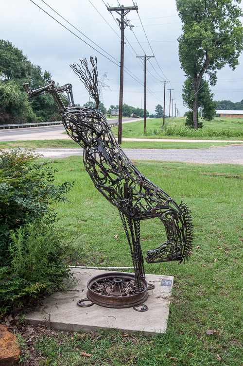 DSC_9709.jpg DSC_9709.jpg