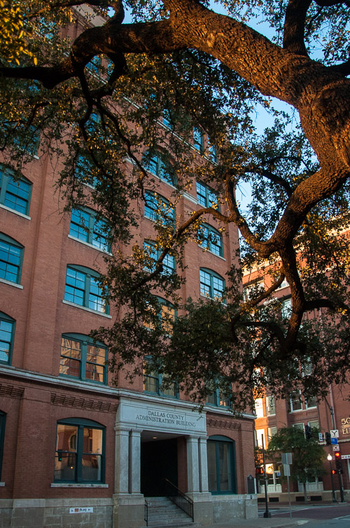 DSC_9733.jpg DSC_9733.jpg