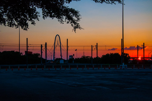 DSC_9769.jpg DSC_9769.jpg