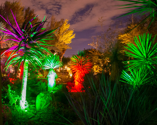 HJRW_20190131_DSC2894.jpg HJRW_20190131_DSC2894.jpg