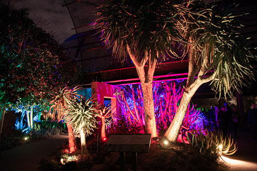 HJRW_20190131_DSC2902.jpg HJRW_20190131_DSC2902.jpg