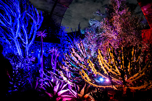 HJRW_20190131_DSC2907.jpg HJRW_20190131_DSC2907.jpg