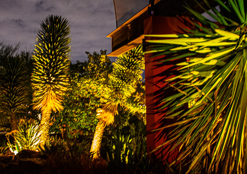 HJRW_20190131_DSC2914.jpg HJRW_20190131_DSC2914.jpg