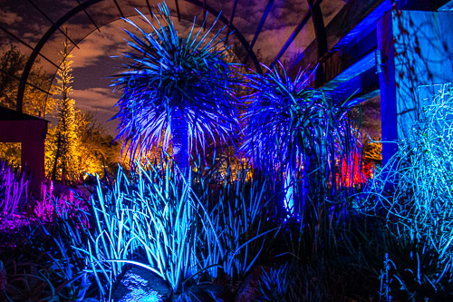 HJRW_20190131_DSC2922.jpg HJRW_20190131_DSC2922.jpg