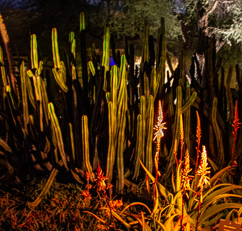 HJRW_20190131_DSC2927.jpg HJRW_20190131_DSC2927.jpg