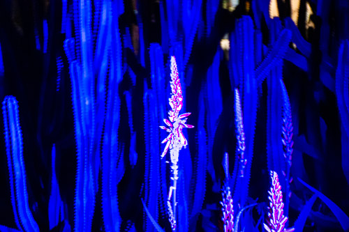 HJRW_20190131_DSC2932.jpg HJRW_20190131_DSC2932.jpg