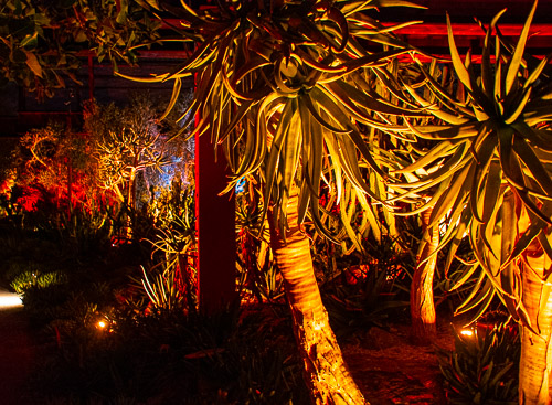 HJRW_20190131_DSC2937.jpg HJRW_20190131_DSC2937.jpg