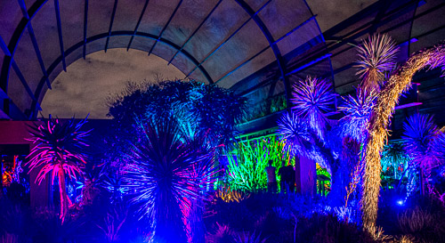 HJRW_20190131_DSC2940.jpg HJRW_20190131_DSC2940.jpg