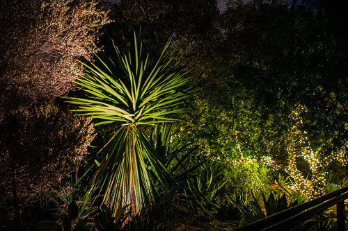 HJRW_20190131_DSC2951.jpg HJRW_20190131_DSC2951.jpg