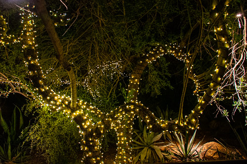 HJRW_20190131_DSC2957.jpg HJRW_20190131_DSC2957.jpg