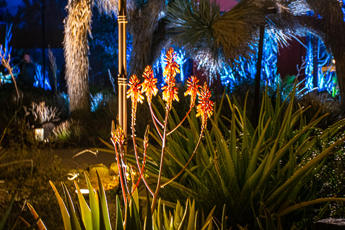 HJRW_20190131_DSC2963.jpg HJRW_20190131_DSC2963.jpg