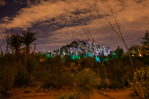 HJRW_20190131_DSC2973.jpg HJRW_20190131_DSC2973.jpg