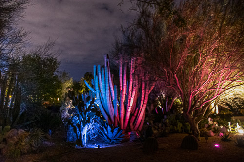 HJRW_20190131_DSC2980-Edit.jpg HJRW_20190131_DSC2980-Edit.jpg