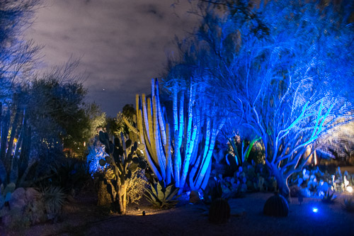 HJRW_20190131_DSC2983.jpg HJRW_20190131_DSC2983.jpg