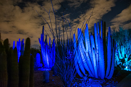 HJRW_20190131_DSC2992.jpg HJRW_20190131_DSC2992.jpg