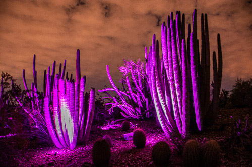 HJRW_20190131_DSC2997.jpg HJRW_20190131_DSC2997.jpg