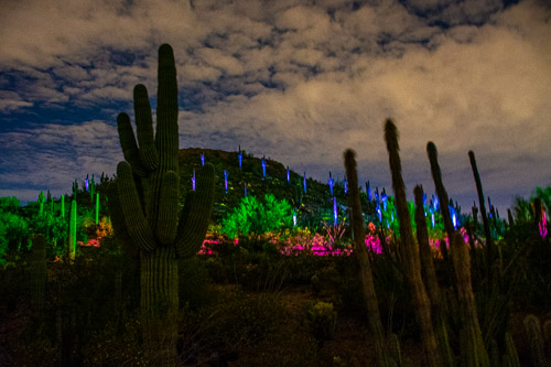 HJRW_20190131_DSC3005.jpg HJRW_20190131_DSC3005.jpg