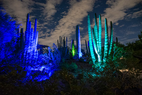 HJRW_20190131_DSC3013.jpg HJRW_20190131_DSC3013.jpg