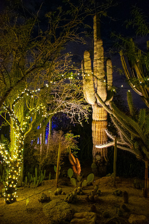 HJRW_20190131_DSC3032.jpg HJRW_20190131_DSC3032.jpg