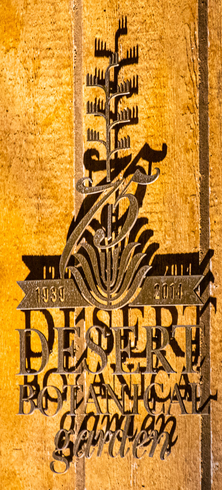 HJRW_20190131_DSC3037.jpg HJRW_20190131_DSC3037.jpg