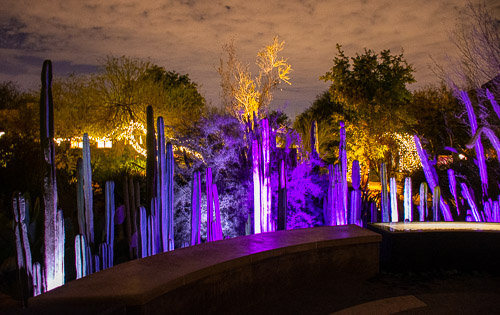 HJRW_20190131_DSC3050.jpg HJRW_20190131_DSC3050.jpg