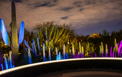 HJRW_20190131_DSC3061.jpg HJRW_20190131_DSC3061.jpg