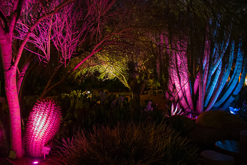 HJRW_20190131_DSC3066.jpg HJRW_20190131_DSC3066.jpg