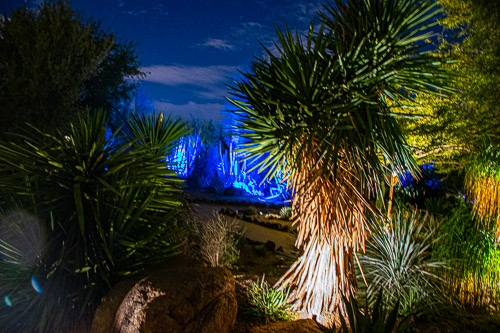 HJRW_20190131_DSC3070.jpg HJRW_20190131_DSC3070.jpg