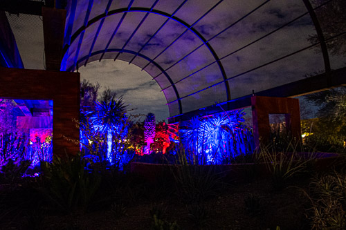 HJRW_20190131_DSC3074.jpg HJRW_20190131_DSC3074.jpg