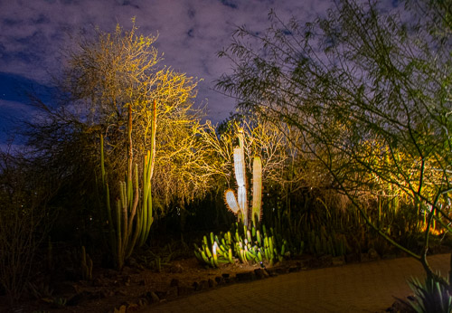 HJRW_20190131_DSC3079.jpg HJRW_20190131_DSC3079.jpg