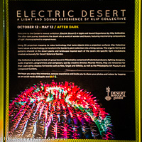 Electric Desert-Desert Botanical Garden
