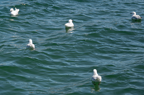 HJRW_20240108_DSC_4958-Edit.jpg HJRW_20240108_DSC_4958-Edit.jpg