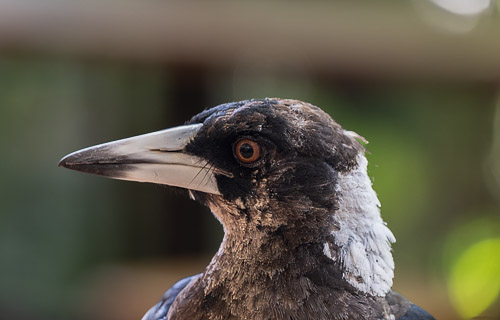 HJRW_20240112_DSC_5344-Edit.jpg HJRW_20240112_DSC_5344-Edit.jpg